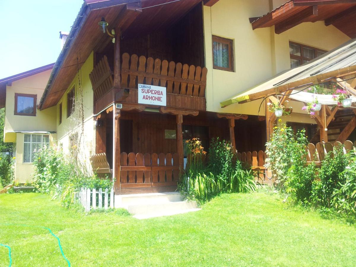 Cabana Suprema Armonie Dîmbovicioara Buitenkant foto