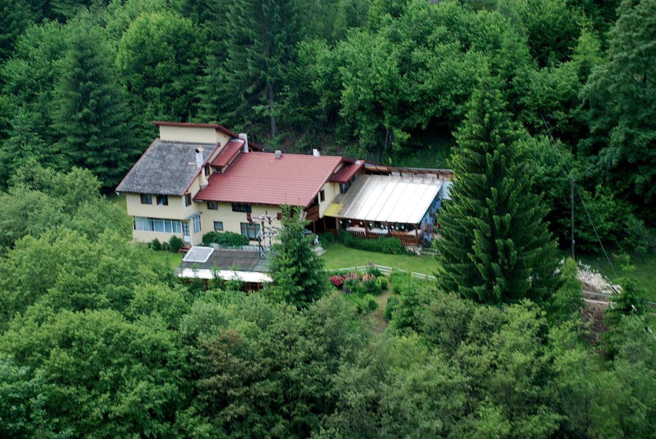 Cabana Suprema Armonie Dîmbovicioara Buitenkant foto
