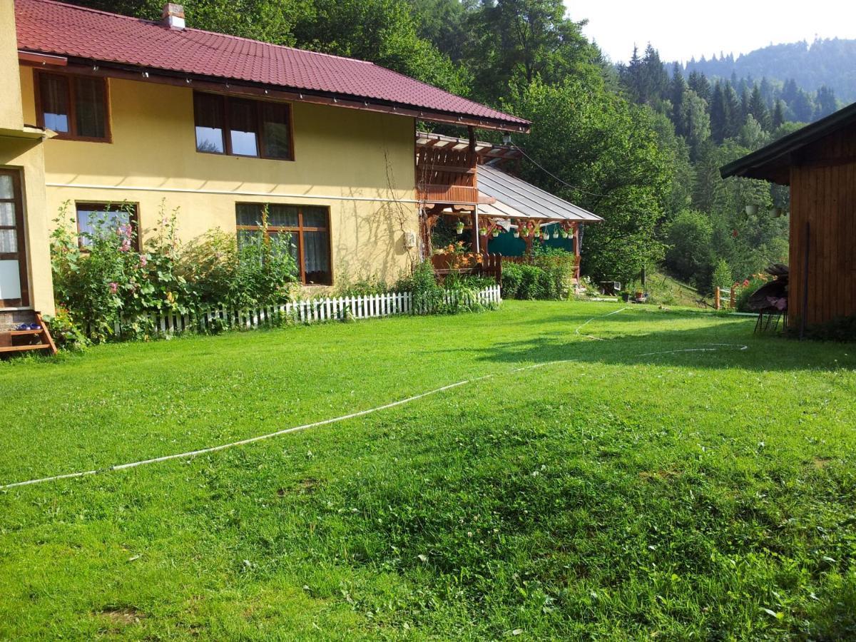 Cabana Suprema Armonie Dîmbovicioara Buitenkant foto