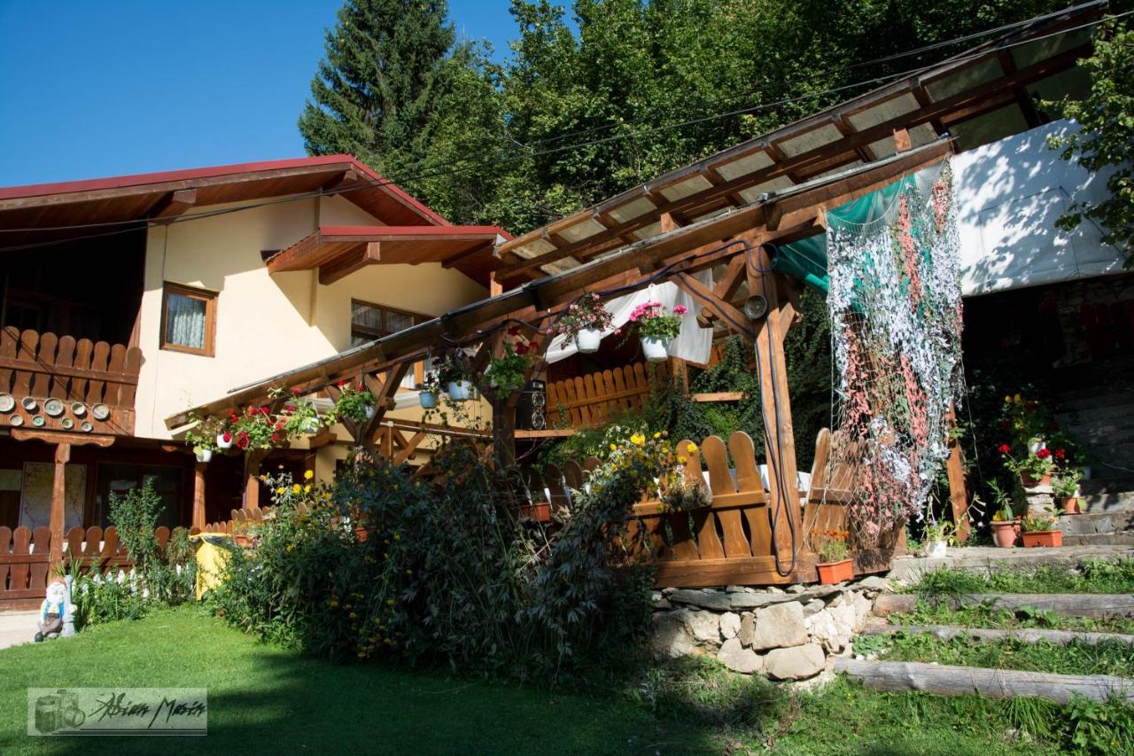 Cabana Suprema Armonie Dîmbovicioara Buitenkant foto